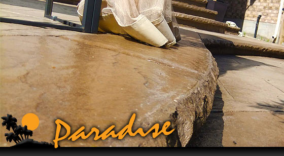 Paradise Contracting - bullnose