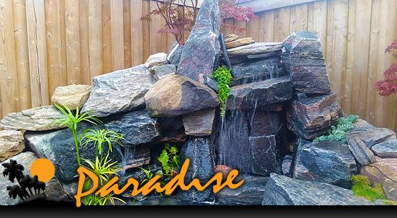Paradise Contracting - landscaping